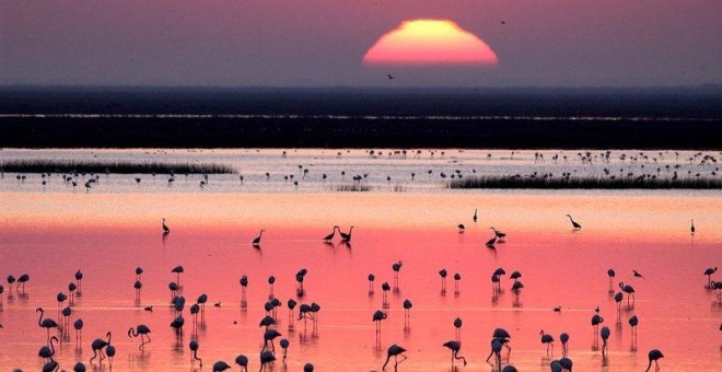 Un atardecer en Doñana.