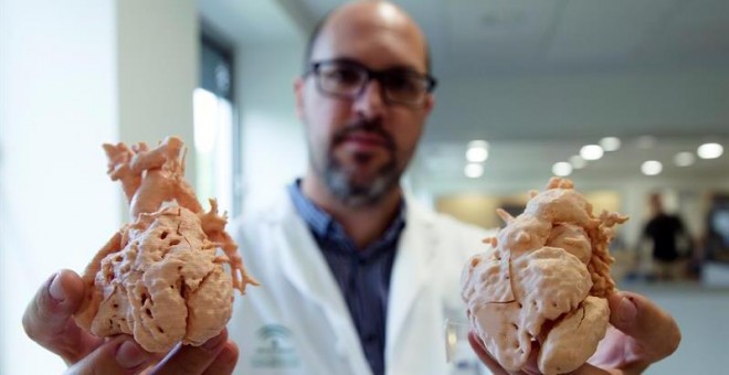 El jefe de sección de Cirugía cardiovascular del Hospital Materno Infantil de Málaga, Enrique Ruiz, muestra unos corazones de niños impresos a tamaño real en 3D. EFE/Jorge Zapata