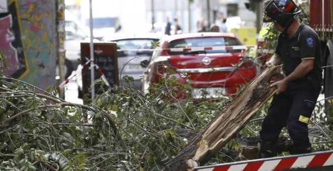 Un bombero retira las ramas de un árbol caído en Madrid. EFE