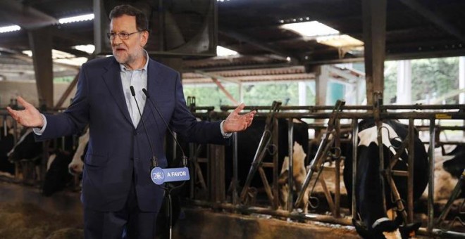 Mariano Rajoy, durante el acto electoral en una explotación ganadera de Asturias. / JOSÉ LUIS CEREIJIDO (EFE)