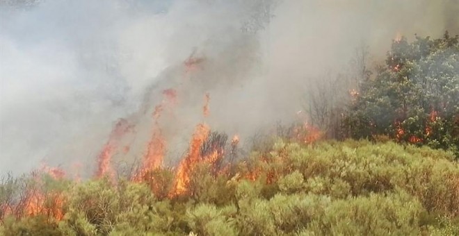 Fuego en el Jerte.- NATURA 2000/E.P.