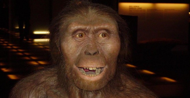 Reconstrucción de Lucy, la australopithecus afarensis.