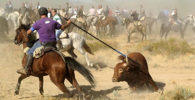 Celebración del Toro de la Vega. AFP