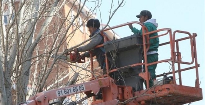 Baja por tercer mes consecutivo el número de afiliados extranjeros a la Seguridad Social / EUROPA PRESS