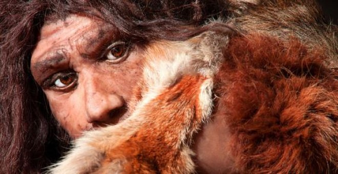 Reconstrucción de un hombre neandertal. Imagen: Fotolia
