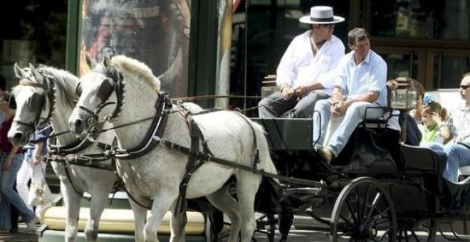 Los caballos de los coches para turistas en Sevilla llegan a estar hasta trece horas de trabajo bajo el sol bajo temperaturas de hasta 45 grados. / EFE