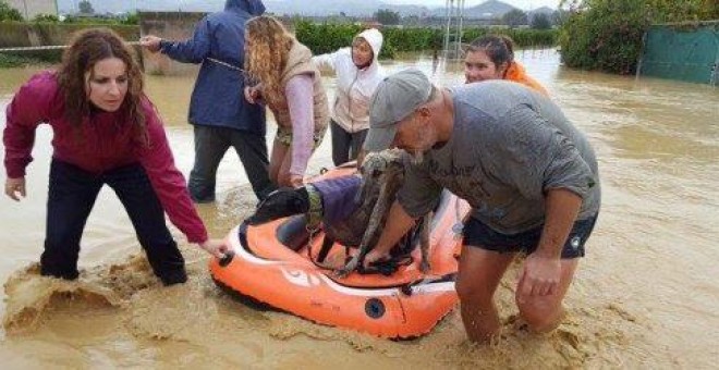 Varias personas evacuan a unos perros de las inundaciones en Málaga.