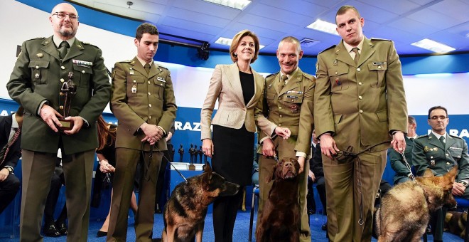 La Unidad Cinológica de las Fuerzas Armadas, acompañada por la ministra de Defensa María Dolores de Cospedal, este martes en Madrid. EFE/FERNANDO VILLAR