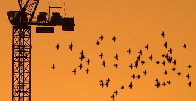 Una bandada de pájaros cruzan el cielo de Londres ayer durante el crepúsculo. / TOBY MELVILLE