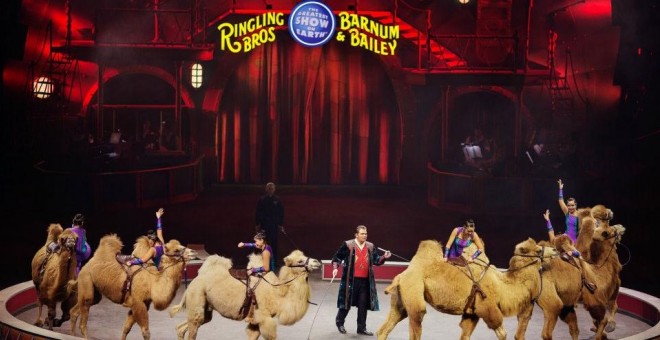 Uno de los espectáculos con animales en el circo Ringling.