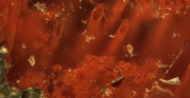 Microfósiles de los primeros organismos vivos de la Tierra, hallados en antiguas fumarolas submarinas. EFE/Matt Dodd