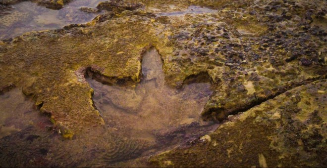 Huella de Megalosauropus broomensis, en primer plano./UNIVERSITY OF QUEENSLAND