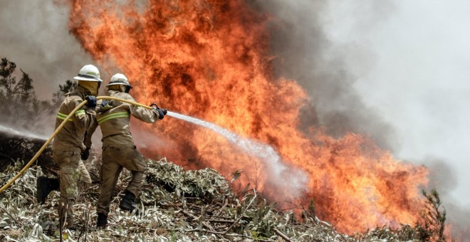 Bomberos intentan apagar el incendio que ha desolado Portugal dejando decenas de muertos y heridos.EFE/Paulo Cunha