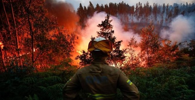 Una de las zonas incendiadas de Portugal /REUTERS