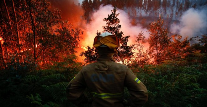 Un bombero, durante el incendio que arrasó el centro de Portugal a mediados de junio y que ha causado más de 60 víctimas. REUTERS
