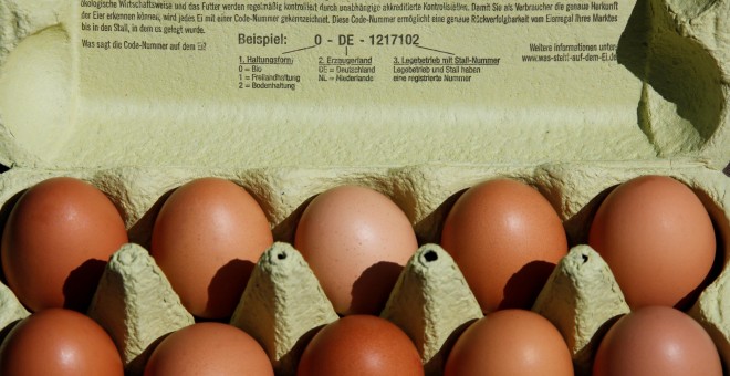 Cartón de huevos. REUTERS/Wolfgang Rattay