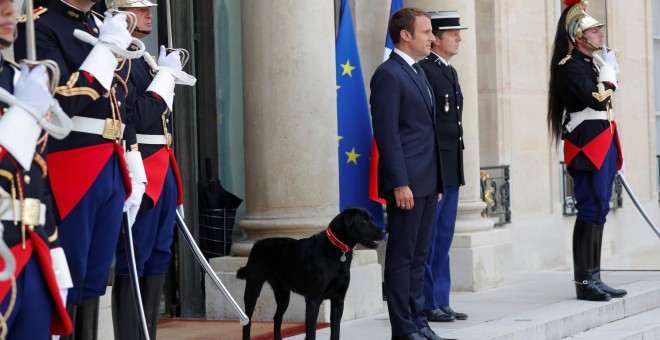 El presidente francés Emmanuel Macron y su perro Nemo, en su residencia oficial del Palacio del Eliseo, en París. REUTERS/Charles Platiau