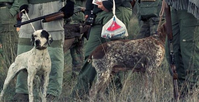 Imagen de archivo de unos perros de caza. EFE