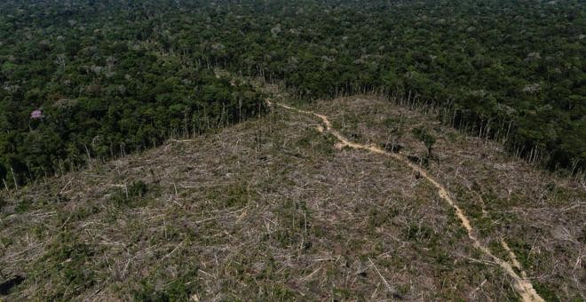 Zona deforestada del Amazonas en Apui, el sur del estado de amazonas /REUTERS (Bruno Kelly)