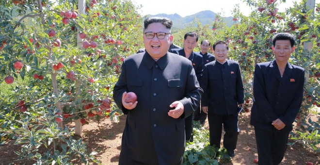 El dictador norcoreano Kim Jong Un durante una visita a una plantación de frutas. /REUTERS