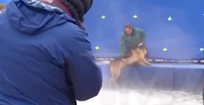 Imágenes del rodaje de la película 'A Dog's purpose' en la que se aprecia maltrato a un pastor alemán que se resiste a ser arrojado a aguas bravas. PÚBLICO/TMZ