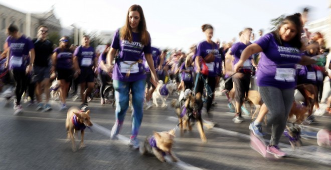 Salida en la madrileña plaza de Colón del Perrotón 2017, la 6º carrera solidaria que tiene como objetivo promover y fomentar la adopción y tenencia responsable de animales de compañía. EFE/Fernando Alvarado