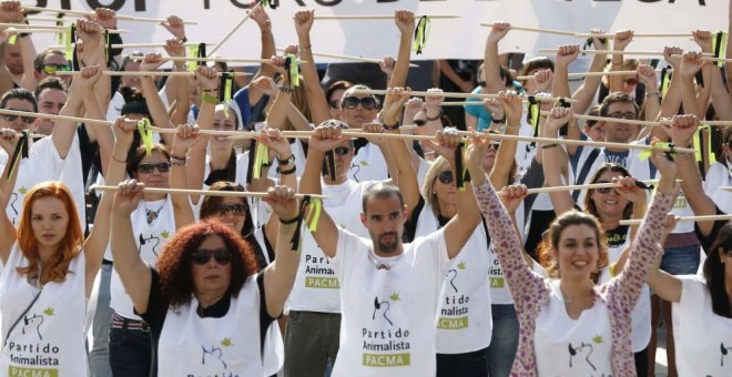 Manifestación contra el Toro de la Vega convocada por el PACMA | EFE