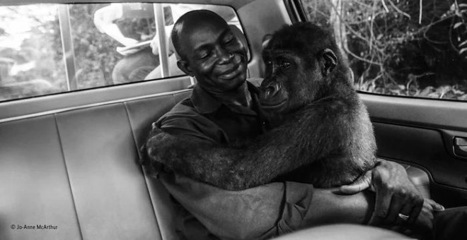 Pikin and Appolinaire, de Jo-Anne McArthur (Natural History Museum)