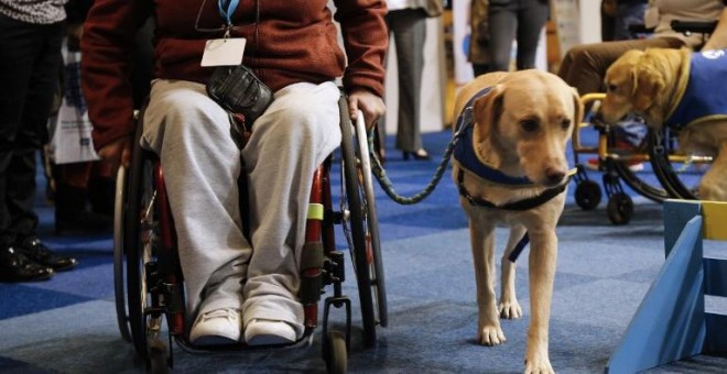 Una mujer discapacitada en silla de ruedas participa en una sesión de capacitación con un perro guía. AFP PHOTO