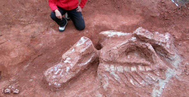 La paleontóloga Carolina Jofré, integrante de la expedición, en el yacimiento situado noroeste argentino, donde fueron hallados los huesos fosilizados de Ingentia prima. / Gentileza Universidad Nacional de San Juan