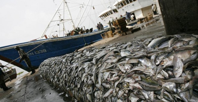 El 33% de las especies de peces comerciales están sobreexplotadas. AFP