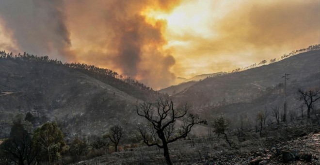 El incendio en la comarca de Monchique. EFE