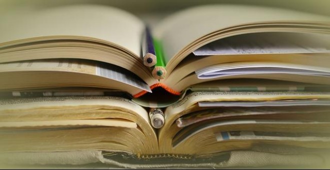 Libros y cuadernos./Pixabay