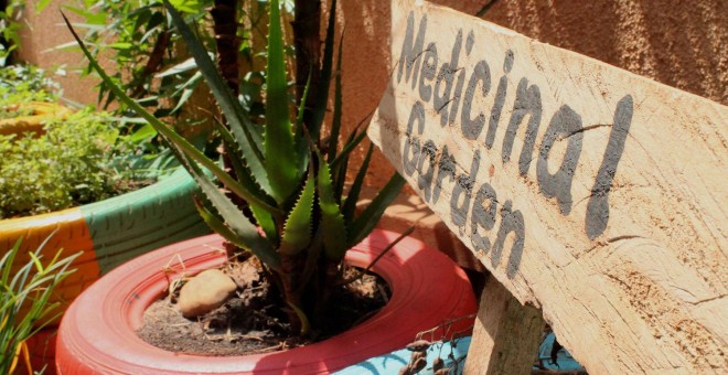 Entre las propuestas que se enseñan en Sawa World, está la de destinar un espacio del huerto a crear un jardín medicinal. - PABLO L. OROSA