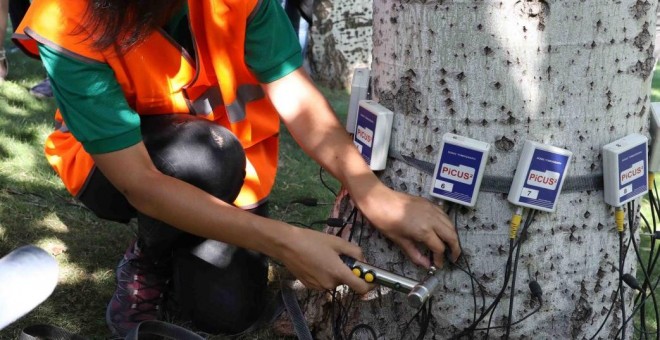 Dispositivos electrónicos utilizados para analizar la salud de un árbol - Ayuntamiento de Madrid