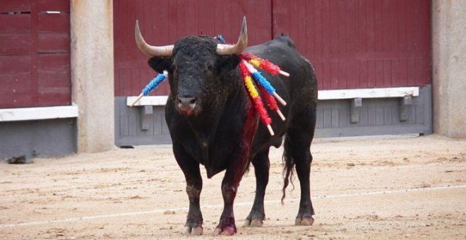 Un toro maltratado en una corrida. Foto: Manuel González Olaechea y Franco / Creative Commons.