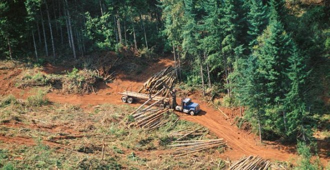 Deforestación en la Amazonía de Brasil. EFE/Archivo