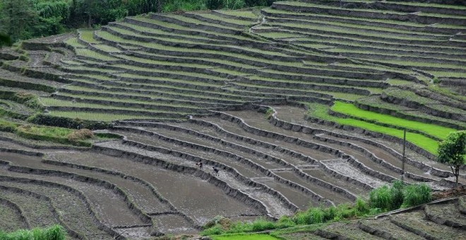 Agricultores trabajan el campo en una aldea de Sikkim (India). / AFP - DIPTENDU DUTTA