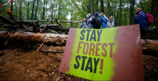 Activistas contra la mina a cielo abierto de lignito que iba a suponer la tala del bosque de Hambach. REUTERS