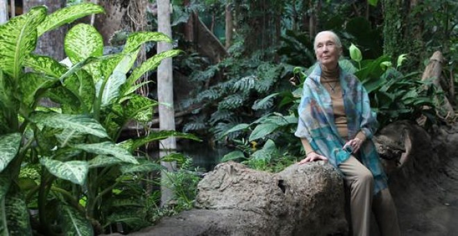 Jane Goodall en barcelona. / Núria Jar, SINC