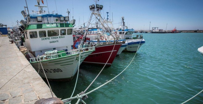 Pesqueros amarrados en el puerto de Barbate (Cádiz) | EFE/Archivo