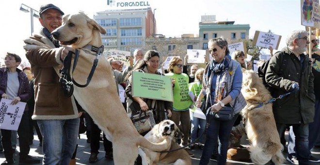 Momento de la manifestación en Barcelona en defensa de más espacios públicos para perros. EFE