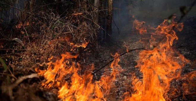 Imágenes de uno de los incendios de Cantabria durante el mes de febrero./EFE