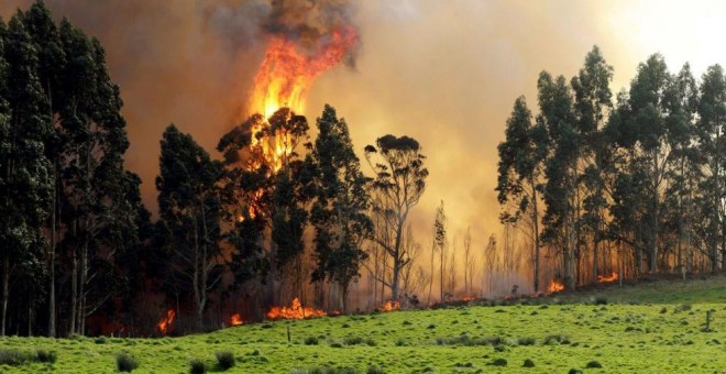Vista del incendio en las proximidades de Naves (Llanes). / EFE