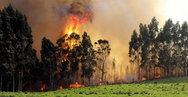 Incendio en las proximidades de Naves (Llanes) | EFE/ José Luis Cereijido