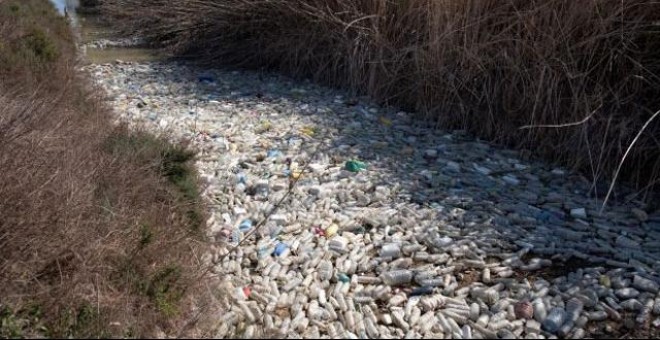 Aspecto de un tramo del río Segura lleno de botellas de plástico.