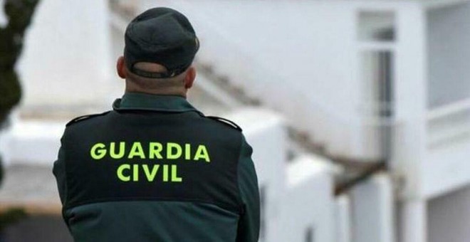 La Guardia Civil ha encontrado al menos una veintena de plantas ilegales. ARCHIVO/EFE