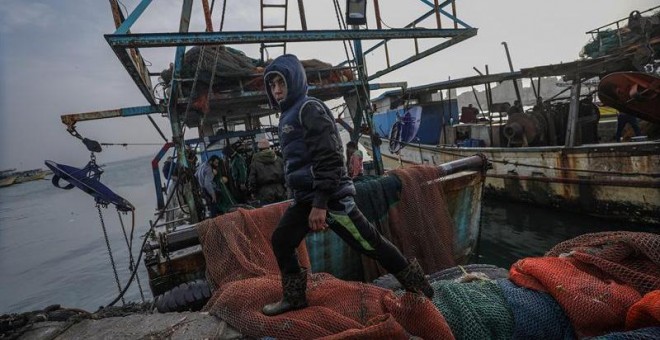 Jóvenes pescadores palestinos de la familia Abu Riyala en el puerto marítimo de Gaza. - EFE/ Mohamed Saber