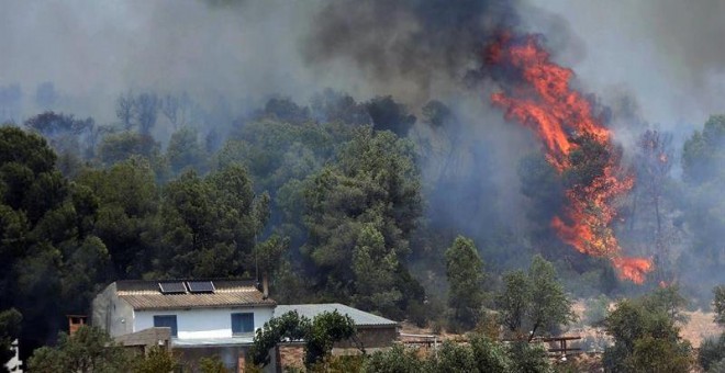 El incendio forestal que quema de Ribera d'Ebre sigue descontrolado y afecta ya a más de 6.500 hectáreas./ JAUME SELLART (EFE)