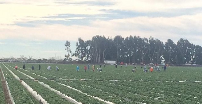 Campesinos labrando la tierra en el condado de Ventura